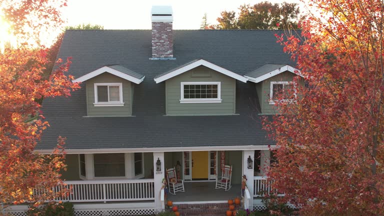 Best Roof Moss and Algae Removal  in Morrison, IL